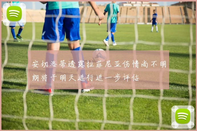 安切洛蒂透露拉菲尼亚伤情尚不明朗将于明天进行进一步评估